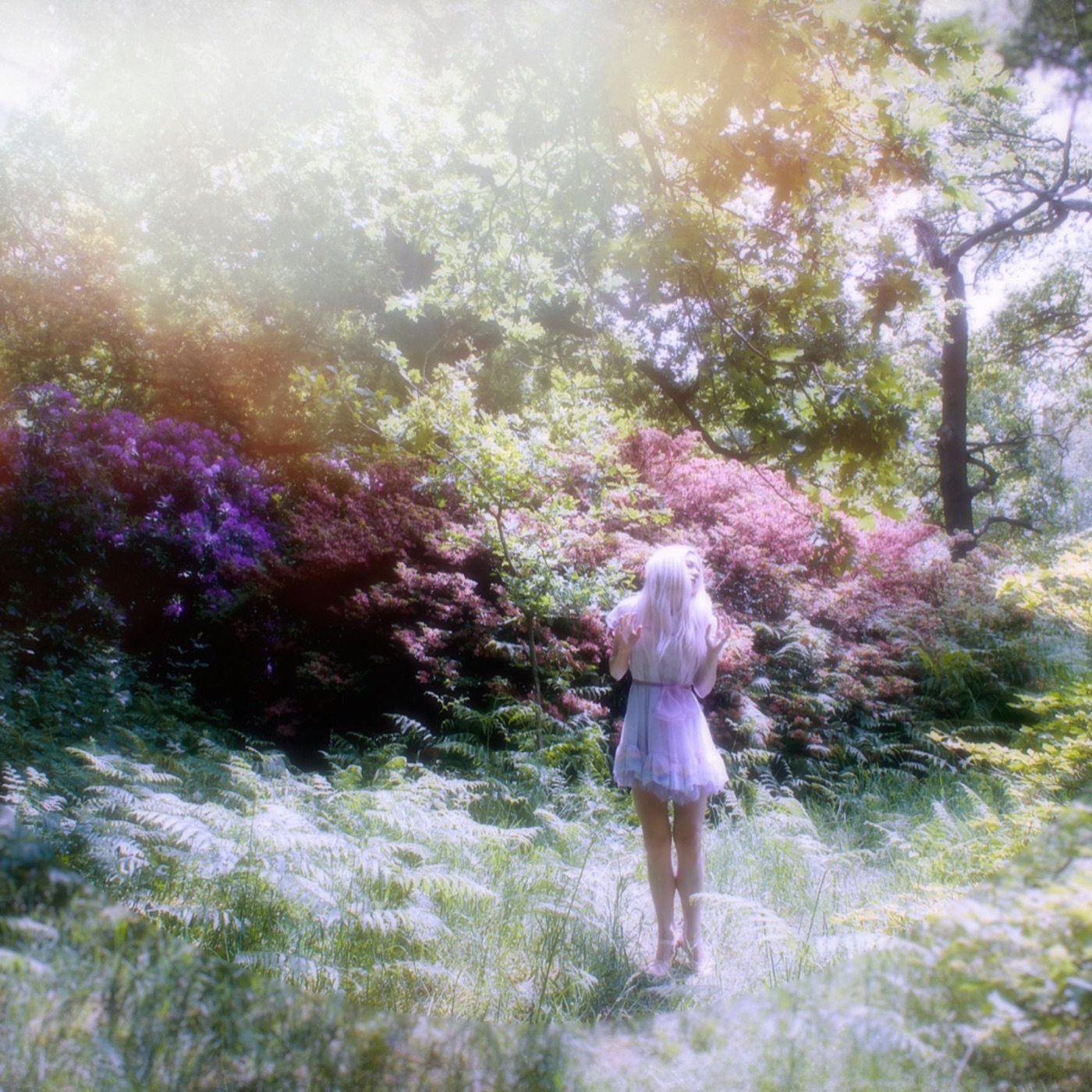 I Bloom Forth. Forever. album cover
