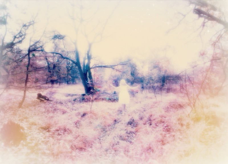 Karin Boye — The Tree in Storm