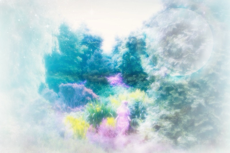 Photograph for "In My House Lives a Faery" by Alice Saga