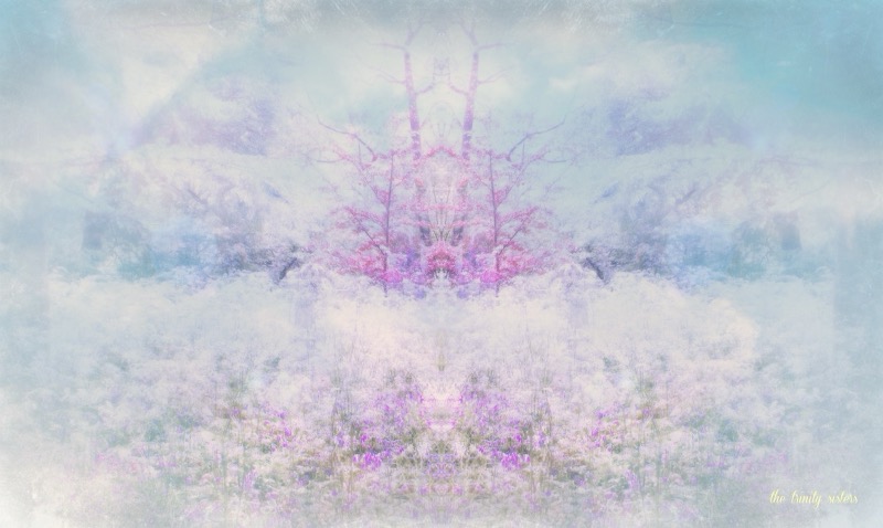 Trinity Sisters Love Heaven