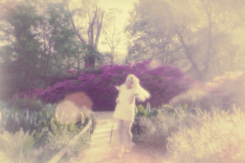 Wonders at Isabella Plantation