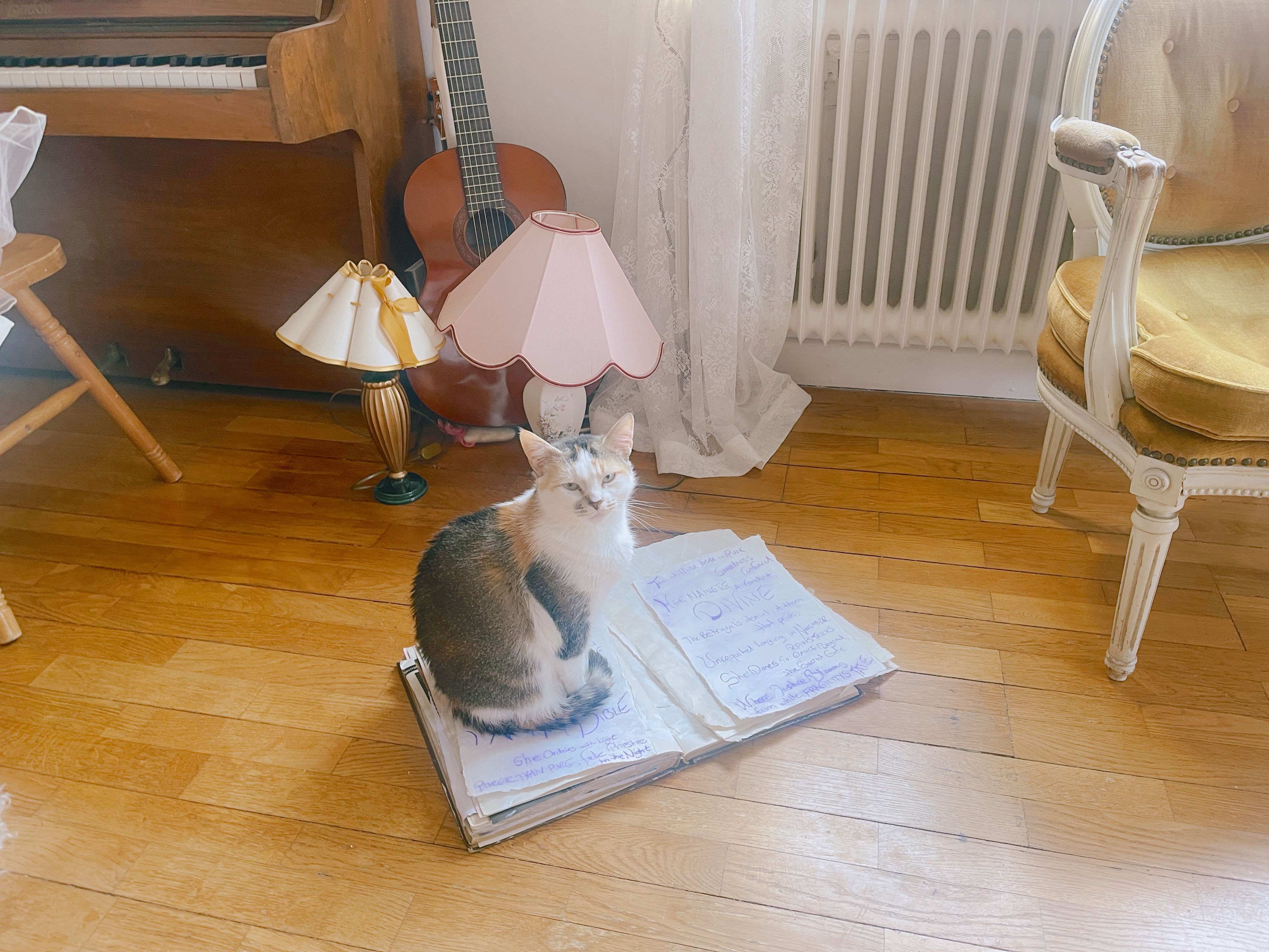 Hope sitting on my poetry journal