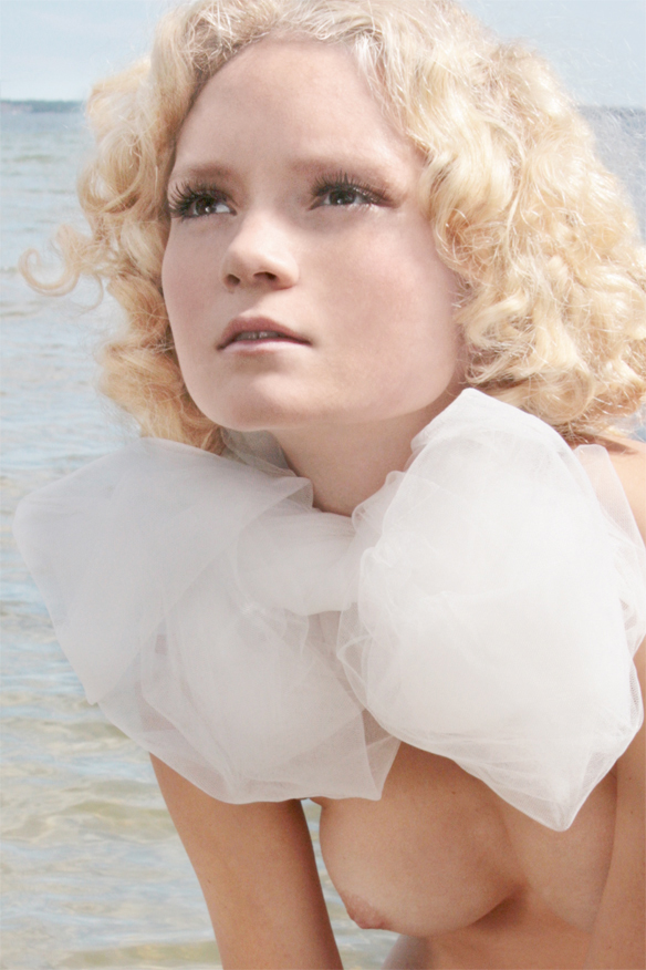 Waterlily 03